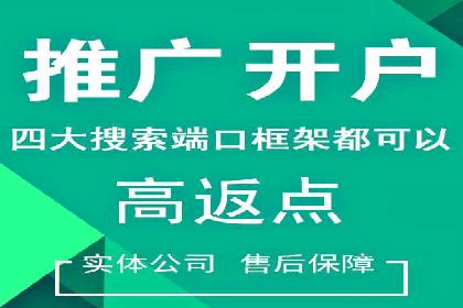 SEM推广代运营公司：实战案例解析